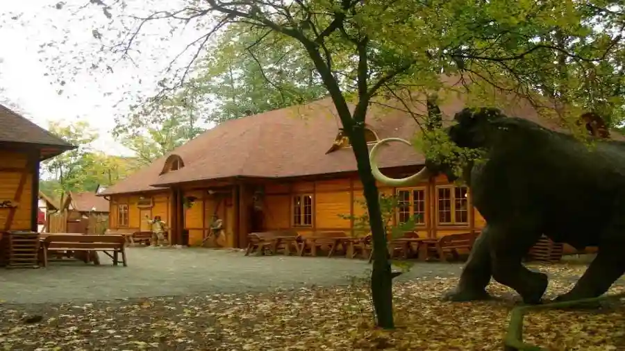 პარკი6